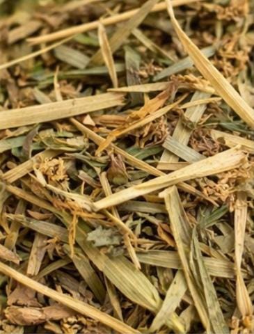 Amour Herbs Alfalfa Leaf: Detox, Wellness, Nutrient-Rich