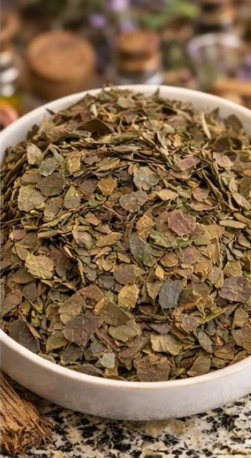 Amour Herbs Bladderwrack: Thyroid Balance, Sea Mineral Richness, Metabolic Aid