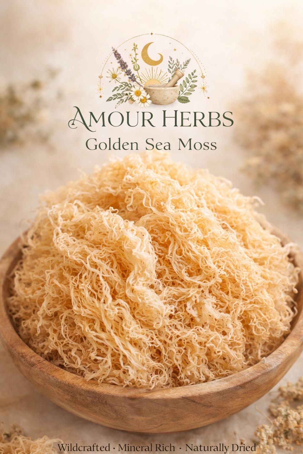 Amour's Golden SeaMoss